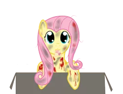 Size: 1021x782 | Tagged: :3, artist:ianmata1998, bleeding, blood, box, bruised, cute, derpibooru import, dirt, flutterbuse, fluttershy, messy mane, note, paper, sad, scratches, semi-grimdark, spanish