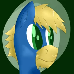 Size: 3000x3000 | Tagged: safe, artist:darklordsnuffles, derpibooru import, oc, oc:doc helix, unofficial characters only, earth pony, pony, bust, colored pupils, digital art, face, male, solo, stallion