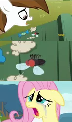Size: 1280x2160 | Tagged: safe, derpibooru import, edit, edited screencap, screencap, fluttershy, pipsqueak, earth pony, fly, pony, crusaders of the lost mark, hurricane fluttershy, candy, colt, comic, crying, dead, lint, male, screencap comic