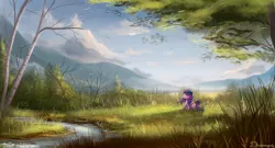 Size: 2220x1200 | Tagged: dead source, safe, artist:shamanguli, derpibooru import, twilight sparkle, twilight sparkle (alicorn), alicorn, bird, pony, cloud, cloudy, creek, eyes closed, female, forest, grass, mare, mountain, river, scenery, scenery porn, solo, stream, tree, water