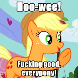 Size: 654x654 | Tagged: apple family reunion, applejack, caption, cropped, derpibooru import, image macro, meme, safe, screencap, solo, text, vulgar