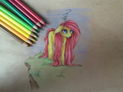 Size: 2560x1920 | Tagged: artist:kindly-fox, colored pencil drawing, derpibooru import, fluttershy, missing cutie mark, safe, simple background, solo, traditional art, wingless