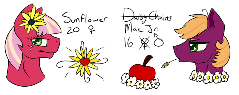 Size: 1024x410 | Tagged: dead source, safe, artist:tobisio, derpibooru import, daisy, flower wishes, oc, oc:daisy chains, oc:mac jr, oc:sunflower kisses, cutie mark, female to male, offspring, parent:big macintosh, parent:cheerilee, parents:cheerimac, transgender