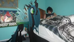 Size: 4000x2248 | Tagged: artist:metalgriffen69, bed, brony, derpibooru import, human, irl, irl human, photo, ponies in real life, queen chrysalis, safe