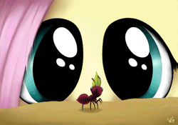 Size: 1440x1008 | Tagged: animated, ant, ant farm, artist:wolverfox, cute, derpibooru import, eyes, eye shimmer, fluttershy, safe, scene interpretation, shyabetes, solo, the one where pinkie pie knows