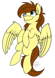 Size: 2893x4092 | Tagged: safe, artist:aidraws, derpibooru import, oc, oc:vento, unofficial characters only, pegasus, pony, cute, fluffy, flying, simple background, smiling, solo, spread wings, transparent background
