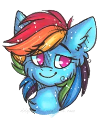 Size: 456x531 | Tagged: safe, artist:tenebristayga, derpibooru import, rainbow dash, ear fluff, portrait, simple background, smiling, solo, traditional art, transparent background