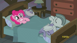 Size: 500x281 | Tagged: safe, derpibooru import, screencap, apple bloom, big macintosh, cloudy quartz, granny smith, igneous rock pie, limestone pie, marble pie, maud pie, pinkie pie, earth pony, pony, hearthbreakers, animated, bed, bunk bed, confetti, discovery family, discovery family logo, false teeth, family, male, married couple, pie family, pie family home, pie sisters, quartzrock, siblings, sisters, sleeping, stallion, startled, twins, wake up