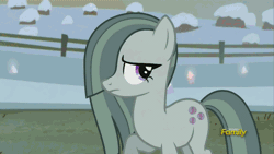 Size: 500x281 | Tagged: safe, derpibooru import, screencap, big macintosh, marble pie, earth pony, pony, hearthbreakers, animated, awkward, crystal, discovery family, discovery family logo, duo, eeyup, female, frown, house, male, mare, open mouth, pie family home, smiling, snow, stallion, talking