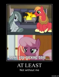 Size: 765x1001 | Tagged: suggestive, derpibooru import, edit, edited screencap, screencap, big macintosh, cheerilee, marble pie, earth pony, pony, hearthbreakers, caption, cheerimarblemac, demotivational poster, implied threesome, male, marblemac, meme, shipping, stallion, straight, this will end in polygamy