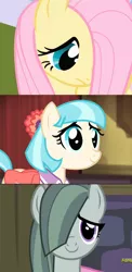 Size: 1072x2200 | Tagged: safe, derpibooru import, edit, edited screencap, screencap, coco pommel, fluttershy, marble pie, earth pony, pegasus, pony, friendship is magic, hearthbreakers, cocobetes, comparison, cute, female, hair over one eye, marblebetes, mare, moe, shy, shyabetes, smiling, the council of shy ponies