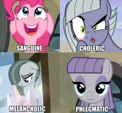 Size: 736x686 | Tagged: caption, derpibooru import, edit, edited screencap, four humors, four temperament ensemble, four temperaments, hearthbreakers, image macro, limestone pie, marble pie, maud pie, meme, pie sisters, pinkie pie, psychology, safe, screencap