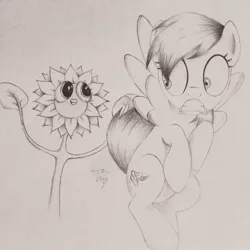 Size: 1024x1024 | Tagged: artist:theasce, derpibooru import, do princesses dream of magic sheep, monochrome, nightmare sunflower, rainbow dash, safe, scared, traditional art