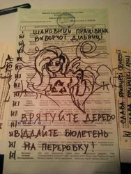 Size: 450x600 | Tagged: ballot, derpibooru import, election, fluttershy, politics, recycling, safe, ukraine, ukrainian