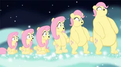 Size: 1280x704 | Tagged: animorphs, artist:megarainbowdash2000, bear, bearified, derpibooru import, flutterbear, fluttershy, open mouth, safe, solo, species swap, transformation, transformation sequence, vector, wide eyes