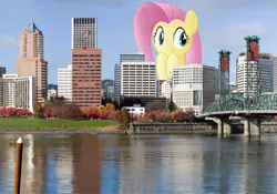 Size: 1600x1120 | Tagged: safe, artist:flutterbatismagic, derpibooru import, fluttershy, pony, giant pony, highrise ponies, irl, macro, oregon, photo, ponies in real life, portland