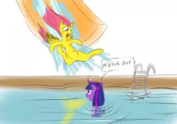 Size: 1024x717 | Tagged: safe, artist:koko-jambo, derpibooru import, fluttershy, twilight sparkle, swimming pool, this will end in tears, water slide