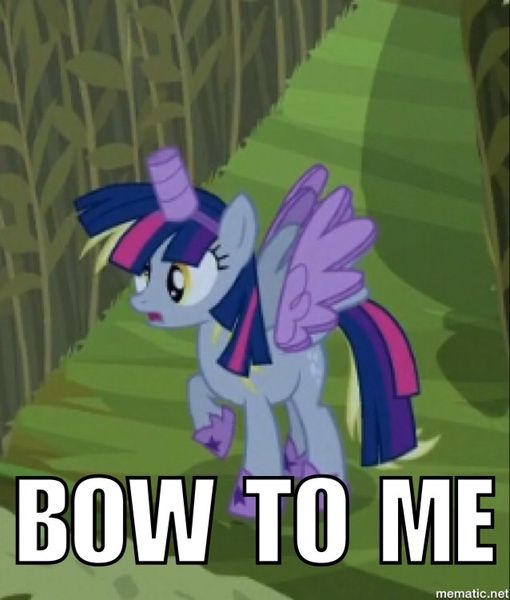 Size: 638x750 | Tagged: safe, derpibooru import, edit, edited screencap, screencap, derpy hooves, twilight sparkle, twilight sparkle (alicorn), alicorn, pony, scare master, alicorn costume, clothes, costume, fake horn, fake wings, female, image macro, mare, meme, nightmare night, nightmare night costume, toilet paper roll, toilet paper roll horn, twilight muffins, wig