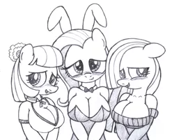 Size: 2800x2250 | Tagged: anthro, artist:an-tonio, blushing, breasts, bunny ears, bunnyshy, bunny suit, busty coco pommel, busty fluttershy, busty marble pie, cleavage, clothes, coco pommel, derpibooru import, female, females only, fluttershy, leotard, marble pie, monochrome, stupid sexy marble pie, suggestive, sweater, the council of shy ponies, traditional art, trio