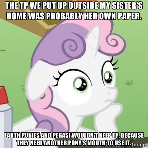 Size: 500x500 | Tagged: safe, derpibooru import, edit, edited screencap, screencap, apple bloom, scootaloo, sweetie belle, pony, unicorn, scare master, caption, carousel boutique, cutie mark crusaders, exploitable meme, female, filly, image macro, meme, nightmare night, prank, solo, sudden clarity sweetie belle, toilet paper, tree, vulgar