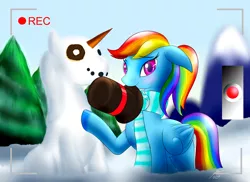 Size: 2573x1870 | Tagged: safe, artist:bludraconoid, derpibooru import, rainbow dash, camera, camera shot, carrot, clothes, donut, hat, mouth hold, ponytail, recording, scarf, snow, snowpony, solo, top hat