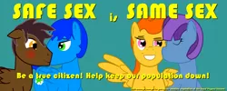 Size: 1000x400 | Tagged: safe, artist:salted pingas, derpibooru import, oc, unofficial characters only, pegasus, pony, fallout equestria, blushing, female, gay, grand pegasus enclave, kissing, lesbian, male, nuzzling, propaganda, simple background, smiling, text, vector, wingboner