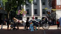 Size: 1043x587 | Tagged: artist:anxet, artist:calumoninc, artist:kooner-cz, artist:thedoubledeuced, baby carriage, boston, building, car, carriage, derpibooru import, derpy hooves, faneuil hall marketplace, flag, floating, flower, fluttershy, horse, horse-pony interaction, human, irl, irl horse, photo, ponies in real life, rainbow dash, safe, tree, vector