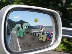 Size: 590x442 | Tagged: artist:php76, ball, bon bon, bon bon is amused, car, cute, derpibooru import, highway, implied lyrabon, irl, lame joke, lyra heartstrings, objects in mirror are closer than they appear, open mouth, photo, playing, ponies in real life, raised hoof, road, safe, smiling, sweetie drops, trace, vector