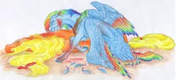 Size: 6856x3128 | Tagged: semi-grimdark, artist:dawn22eagle, derpibooru import, applejack, rainbow dash, pony, bleeding, blood, colored wings, colored wingtips, crying, feather, gritted teeth, hatless, hooves, injured, loose hair, lying, missing accessory, multicolored wings, rainbow feathers, rainbow wings, realistic horse legs, scar, side, tail feathers, traditional art, wings