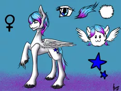 Size: 1600x1200 | Tagged: safe, artist:stirren, derpibooru import, oc, unofficial characters only, pegasus, pony, female, mare, present, reference sheet, solo