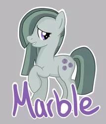 Size: 4798x5601 | Tagged: safe, artist:velocityraptor, derpibooru import, marble pie, earth pony, pony, hearthbreakers, absurd resolution, solo