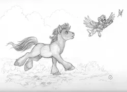 Size: 1000x724 | Tagged: artist:darknatasha, butterfly, classical hippogriff, derpibooru import, fanfic art, fanfic cover, fanfic:the growing years, flying, grass, grayscale, hippogriff, monochrome, nudity, oc, oc:flix, oc:long path, outdoors, running, safe, sheath, traditional art, unofficial characters only, unshorn fetlocks