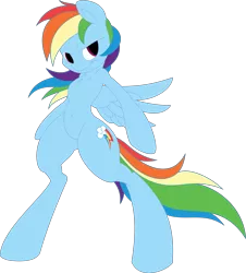 Size: 7243x8000 | Tagged: safe, artist:dfectivedvice, artist:speedox12, deleted from derpibooru, derpibooru import, edit, rainbow dash, pegasus, pony, semi-anthro, absurd resolution, belly button, bipedal, chest fluff, female, mare, simple background, solo, transparent background, vector