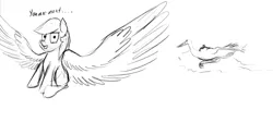 Size: 1355x606 | Tagged: artist:xormak, derpibooru import, grimdark, looking at you, monochrome, severed wing, stork, wings