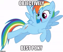 Size: 609x499 | Tagged: best pony, derpibooru import, image macro, meme, rainbow dash, safe