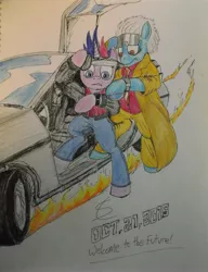 Size: 3214x4184 | Tagged: safe, artist:scribblepwn3, derpibooru import, twilight sparkle, ponified, earth pony, pony, unicorn, back to the future, colored pencil drawing, crossover, delorean, doc brown, future twilight, pen, time travel, traditional art