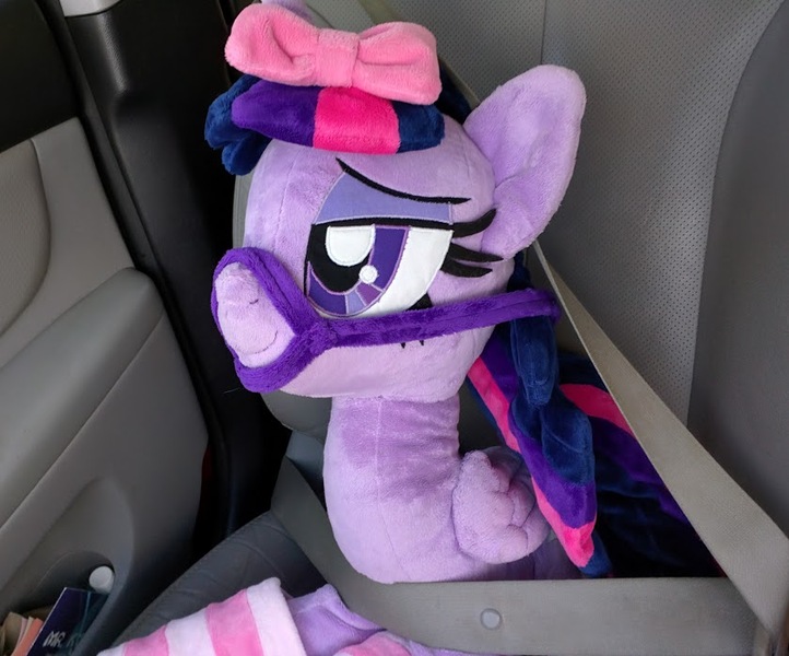 Size: 839x697 | Tagged: safe, artist:qtpony, derpibooru import, photographer:corpulentbrony, twilight sparkle, twilight sparkle (alicorn), alicorn, pony, bow, bridle, car, clothes, custom, female, hair bow, irl, mare, photo, plushie, road trip, seatbelt, socks, solo, toy