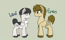 Size: 1280x800 | Tagged: artist:emz2015, attack on titan, cravat, derpibooru import, eren jaeger, fanart, fluffy, key, levi ackerman, ponified, safe, unshorn fetlocks