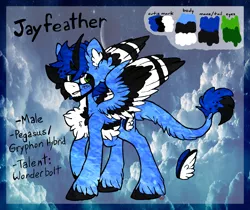 Size: 3629x3048 | Tagged: safe, artist:iroxykun, derpibooru import, oc, oc:jayfeather, unofficial characters only, hybrid, pegasus, pony, bandana, cutie mark, male, reference sheet, stallion, unshorn fetlocks, wings, wonderbolts