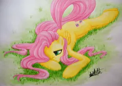 Size: 3631x2569 | Tagged: safe, artist:dantethehuman, derpibooru import, fluttershy, pegasus, pony, folded wings, grass, hair over one eye, looking away, lying down, melancholy, prone, questionable source, solo, traditional art, wings