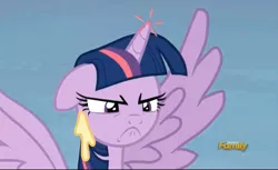 Size: 1158x707 | Tagged: safe, derpibooru import, screencap, twilight sparkle, twilight sparkle (alicorn), alicorn, pony, the hooffields and mccolts, angry, cute, discovery family logo, female, grumpy, grumpy twilight, mare, solo, twilight is not amused, unamused