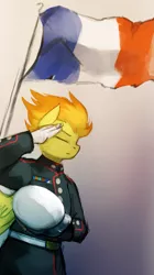 Size: 729x1300 | Tagged: anthro, artist:foxinshadow, clothes, derpibooru import, dress blues, eyes closed, flag, france, marines, never forget, paris, safe, salute, solo, spitfire, stand with paris, uniform, usmc