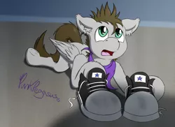 Size: 1200x873 | Tagged: artist:punk-pegasus, bandana, clothes, converse, cute, derpibooru import, fetish, oc, oc:menzing, safe, shoes, sneakers, sneakers fetish, solo, underhoof, unofficial characters only, what are thoooose