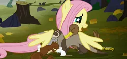 Size: 1358x633 | Tagged: safe, derpibooru import, screencap, fluttershy, duck, ferret, mouse, pegasus, pony, squirrel, the hooffields and mccolts, animal, cropped, discovery family logo, female, hug, mare, winghug