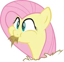 Size: 5795x5602 | Tagged: absurd resolution, artist:owlisun, cross-eyed, cute, dead source, derpibooru import, fluttershy, full mouth, hay, horses doing horse things, nose wrinkle, puffy cheeks, safe, simple background, smiling, solo, :t, the hooffields and mccolts, transparent background, vector, wide eyes