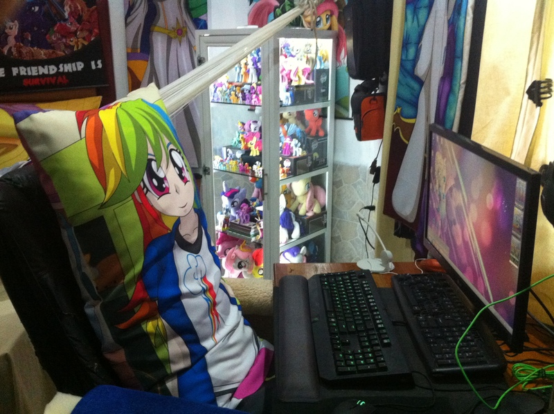 Size: 2592x1936 | Tagged: battlestation, body pillow, build-a-bear, derpibooru import, fluttershy, human, humanized, irl, photo, plushie, rainbow dash, rarity, safe