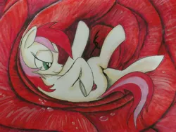 Size: 4288x3216 | Tagged: artist:scribblepwn3, derpibooru import, flower, not vore, on back, pen, rose, roseluck, safe, solo, traditional art, watercolor painting