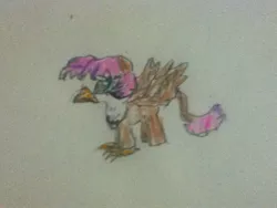 Size: 960x720 | Tagged: artist:phoenixacezero, classical hippogriff, derpibooru import, hippogriff, magical lesbian spawn, oc, oc:angelfeather, offspring, parent:fluttershy, parent:gilda, parents:gildashy, safe, solo, traditional art, unofficial characters only
