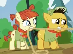 Size: 524x385 | Tagged: camp friendship, clothes, colt, derpibooru import, filly, hat, nature walk, neckerchief, russell, safe, scout uniform, screencap, shirt, the mane attraction, tug of war, up