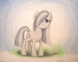 Size: 1003x797 | Tagged: safe, artist:thefriendlyelephant, derpibooru import, marble pie, earth pony, pony, adorable face, cute, grass, marblebetes, rock, solo, traditional art